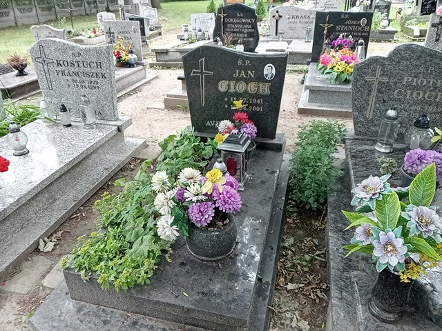Grób Tomasz  Cioch