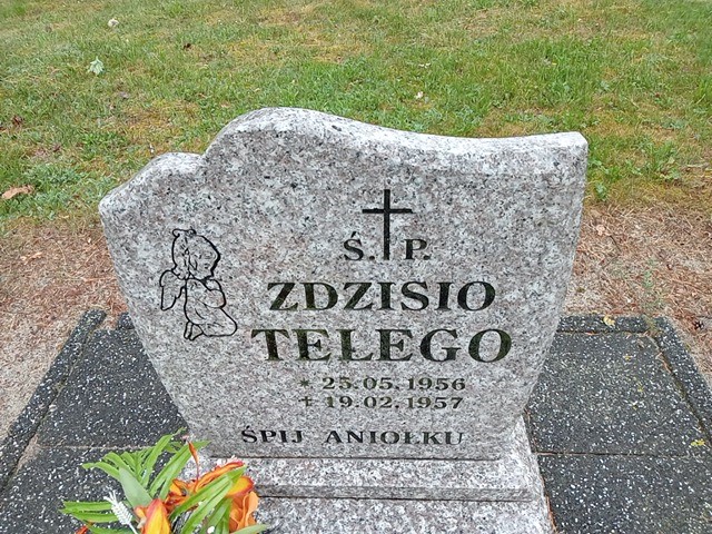 Zdzisław Telego 1956 Świerzno - Grobonet - Wyszukiwarka osób pochowanych